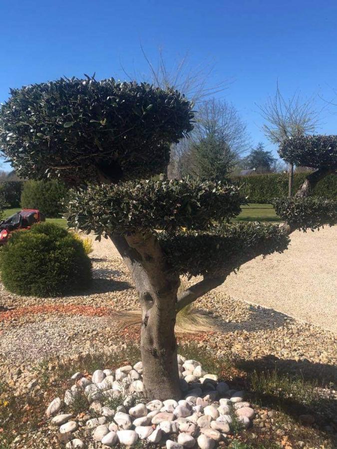 Bed and Breakfast La Cottiniere Dreffeac Esterno foto